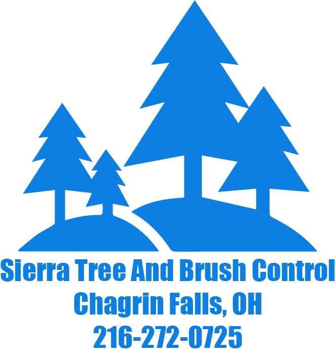 Sierra Tree An Brush Control